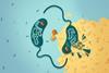 Low-Res_Vibrio cholerae CBASS